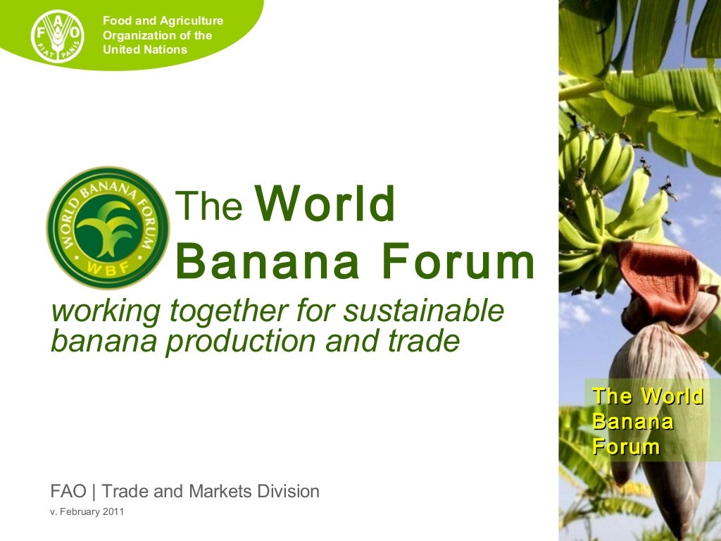 The World Banana Forum