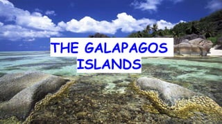 THE GALAPAGOS
ISLANDS
 