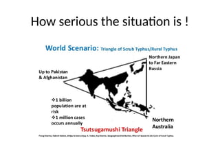 How serious the situation is !
 