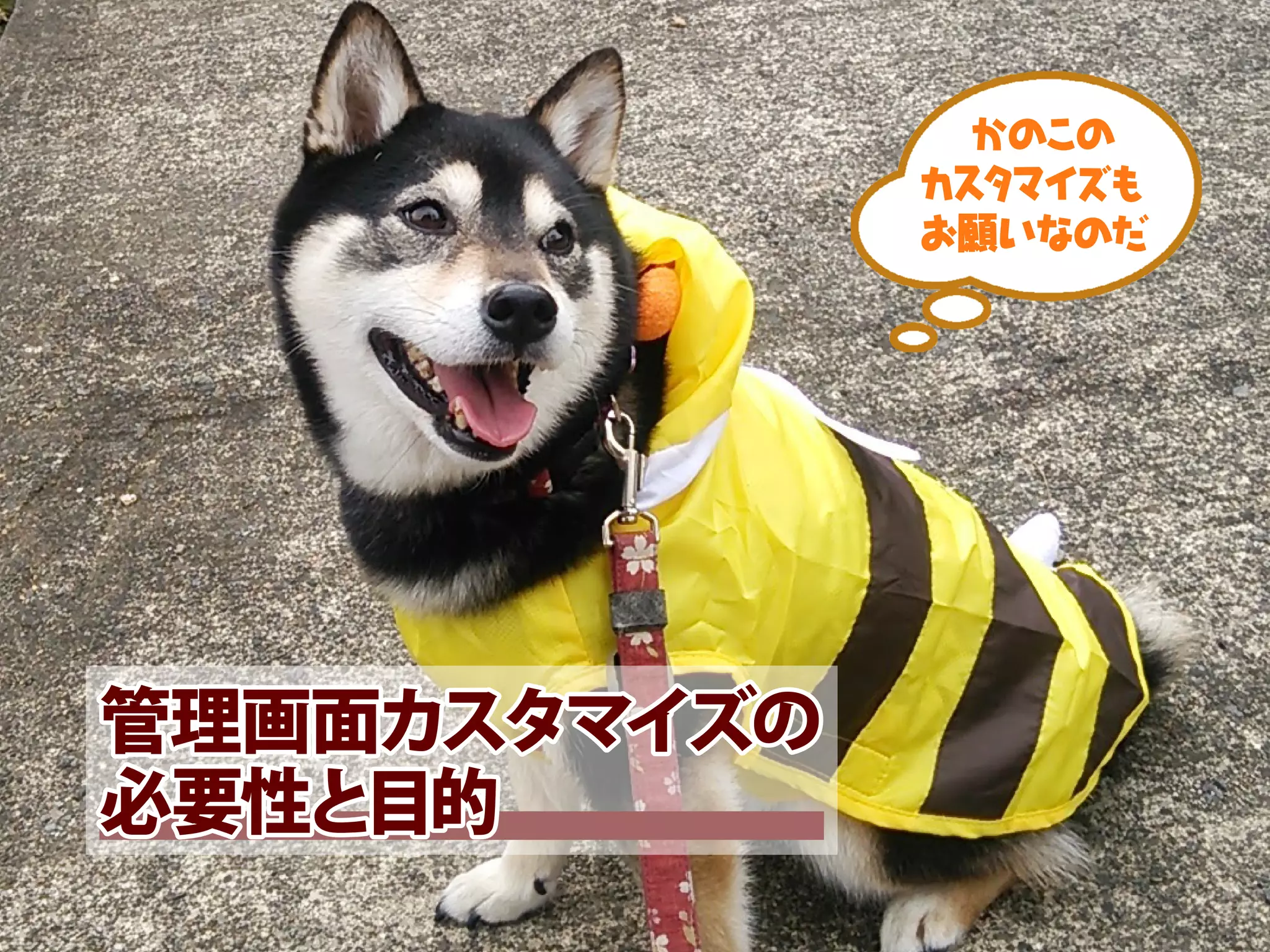 14
かのこの
カスタマイズも
お願いなのだ
管理画面カスタマイズの
必要性と目的
 