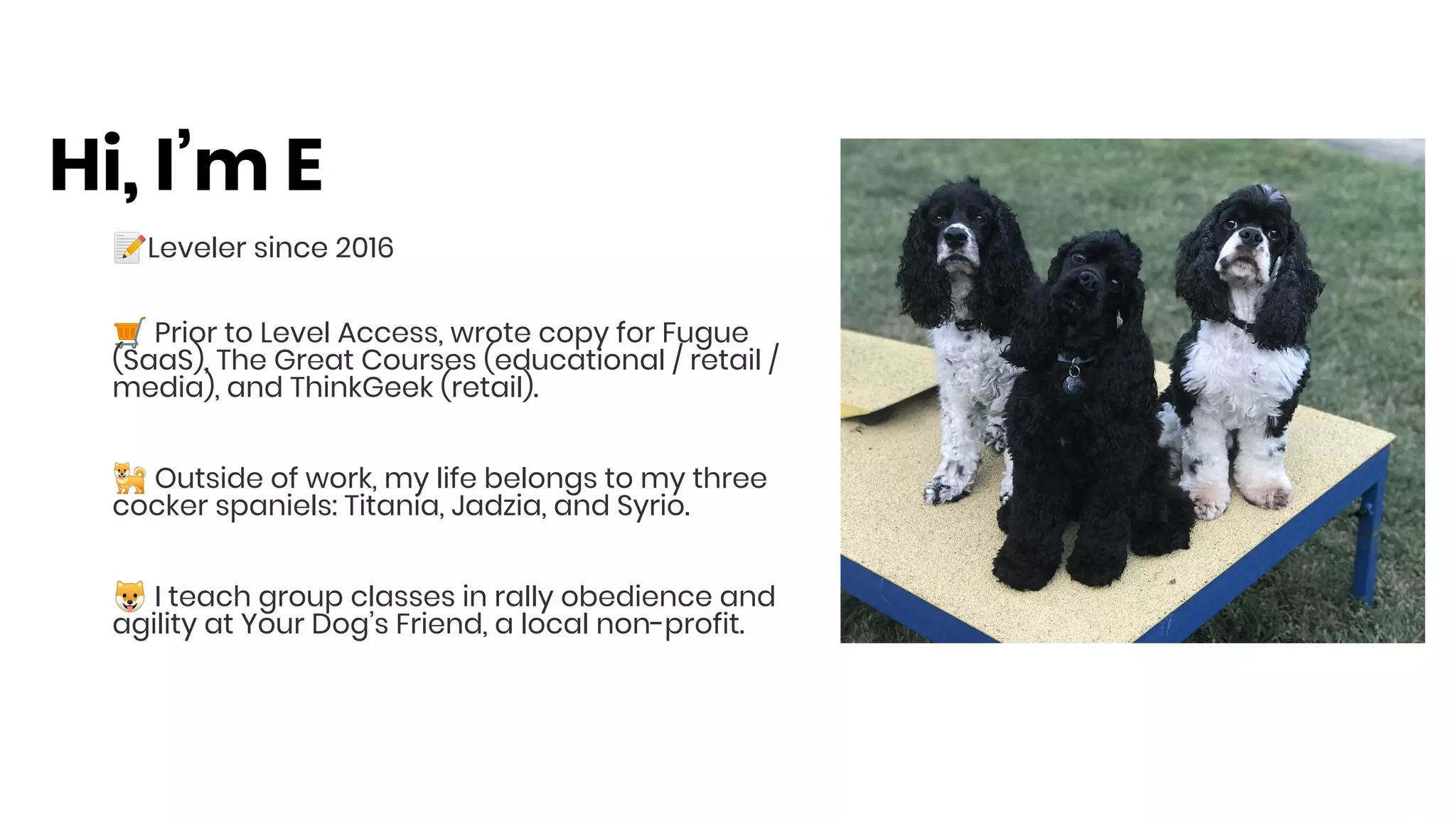 📝Leveler since 2016
🛒 Prior to Level Access, wrote copy for Fugue
(SaaS), The Great Courses (educational / retail /
media), and ThinkGeek (retail).
🐕 Outside of work, my life belongs to my three
cocker spaniels: Titania, Jadzia, and Syrio.
🐶 I teach group classes in rally obedience and
agility at Your Dog’s Friend, a local non-profit.
Hi, I’m E
 