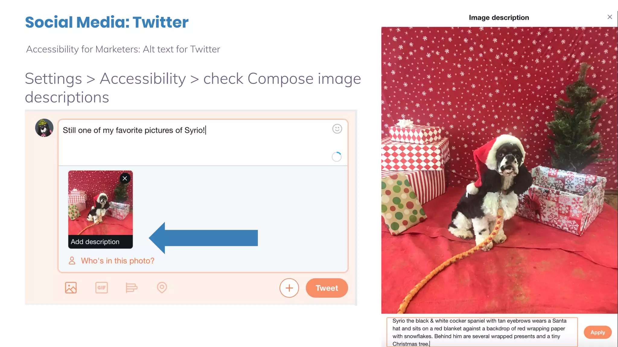 Social Media: Twitter
Accessibility for Marketers: Alt text for Twitter
Settings > Accessibility > check Compose image
descriptions
 