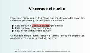 Visceras del cuello
Estas están dispuestas en tres capas, que son denominadas según sus
contenidos principales y van de superficial a profunda:
● Capa endócrina: Glándula Tiroides y paratiroides
● Capa respiratoria: Laringe y tráquea
● Capa alimentaria: Faringe y esófago
La glándula tiroides forma parte del sistema endocrino corporal de
glándulas secretoras sin un conducto excretor
Faaa, P. I. A. D. F. & Faaa, P. M. (. B. A. A. M. R. (2022, 21 julio). Moore. Anatomía con orientación clínica (Ninth). LWW.
 