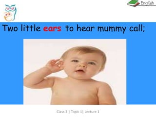 Class 3 | Topic 1| Lecture 1
Two little ears to hear mummy call;
 