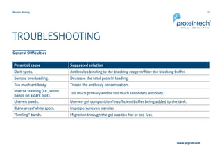 17Western Blotting
TROUBLESHOOTING
General Difficulties
Potential cause Suggested solution
Dark spots. Antibodies binding to the blocking reagent/filter the blocking buffer.
Sample overloading. Decrease the total protein loading.
Too much antibody. Titrate the antibody concentration.
Inverse staining (i.e., white
bands on a dark blot).
Too much primary and/or too much secondary antibody.
Uneven bands. Uneven gel composition/insufficient buffer being added to the tank.
Blank areas/white spots. Improper/uneven transfer.
“Smiling” bands. Migration through the gel was too hot or too fast.
www.ptglab.com
 