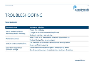 19Western Blotting
TROUBLESHOOTING
Weal/No Signal
Potential cause Suggested solution
Issues with the primary
and/or secondary antibody.
Titrate the antibody.
Change incubation time and temperature.
Antibody may have lost activity.
Membrane choice.
Select PVDF or NC membranes based on hydrophobicity.
Hydrophilicity of the target antigen.
Sodium azide contamination.
The presence of sodium azide inhibits the activity of HRP.
Ensure sufficient washing.
Detection reagent not
sensitive enough.
Dilute chemiluminescent reagents in high-purity water.
Check several exposure times to achieve optimum detection.
www.ptglab.com
 