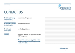 21Western Blotting
CONTACT US
proteintech@ptglab.com
europe@ptglab.com
service@ptglab.com
Available 24 hours via Live Chat and 9–5
(CDT) via phone.
Proteintech Group
Proteintech Europe
Proteintech
Support
US Head Office
United Kingdom
China Office
Please visit us at www.ptglab.com for
more information about our antibodies
and technical tips.
www.ptglab.com
 