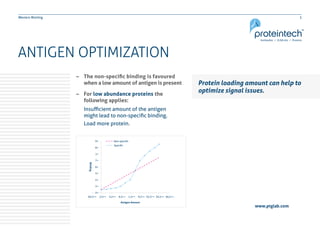 Western Blotting - Technical Tips and Troubleshooting | PDF