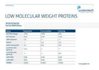 7Western Blotting
Tricine Gel Recipe
For Low MW Proteins
LOW MOLECULAR WEIGHT PROTEINS
Items Separation Intermediate Stacking
Gel Percentage 15% 10% 4%
Gel Volume 6 ml 3 ml 2 ml
38% Glycerol 1.6 — —
ddH2O — 1.2 1.4
30% Acrylamide 2.7 0.8 0.3
3.0 M Tris HCl
(pH 8.5)
2.14 1 —
1.0 M Tris HCl
(pH 6.8)
— — 0.3
10% SDS 0.06 0.03 0.02
10% APS 0.06 0.03 0.02
TEMED 0.003 0.003 0.002
www.ptglab.com
 