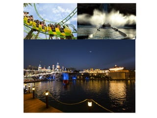 Theme Park & Attraction Experience