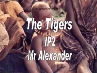 S1 African Adventure IP2 Mr Alexander The Tigers 