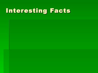 Interesting Facts 