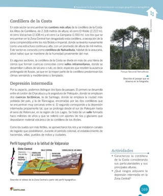 169
	Caracterizar	la	Zona	Central	considerando	sus	rasgos	geográficos	y	demográficos
•	Caracteriza	 la	 cordillera	
de	la	Costa	considerando	
sus	particularidades	y	sus	
principales	alturas.
•	¿Qué	 rasgos	 adquiere	 la	
depresión	intermedia	en	la	
Zona	Central?
Actividades
Cordillera de la Costa
En	este	sector	se	encuentran	las	cumbres más altas	de	la	cordillera	de	la	Costa:	
los	Altos	de	Cantillana,	de	2.318	metros	de	altura;	el	cerro	El	Roble	(2.222	m),	
el	cerro	Vizcachas	(2.108	m)	y	el	cerro	La	Campana	(1.910	m).	Los	ríos	que	se	
encuentran	en	la	Zona	Central	han	desgastado	esta	cordillera,	a	excepción	de	la	
zona	comprendida	entre	los	ríos	Biobío	e	Imperial,	donde	se	levanta	nuevamente	
como	una	estructura	continua	y	alta,	con	un	promedio	de	altura	de	mil	metros.	
Este	sector	es	conocido	como	cordillera de Nahuelbuta,	hábitat	de	la	araucaria,	
árbol	nativo	que	se	mantiene	de	la	humedad	proveniente	del	mar.	
En	algunos	sectores,	la	cordillera	de	la	Costa	se	divide	en	más	de	una	hilera	de	
cerros	que	forman	cuencas	conocidas	como	valles intramontanos,	donde	se	
desarrollan	cultivos	de	secano	o	rulo,	es	decir,	especies	que	resisten	la	ausencia	
prolongada	de	lluvias,	ya	que	en	la	mayor	parte	de	la	cordillera	predominan	los	
climas	semiárido	y	mediterráneo	o	templado.
Depresión intermedia
Por	su	aspecto,	podemos	distinguir	dos	tipos	de	paisajes.	El	primero	se	desarrolla	
entre	el	cordón	de	Chacabuco	y	la	angostura	de	Pelequén,	donde	se	emplazan	
dos	cuencas tectónicas,	la	de	Santiago,	donde	se	emplaza	la	ciudad	más	
poblada	del	país,	y	la	de	Rancagua,	encerradas	por	las	dos	cordilleras	que	
se	encuentran	muy	cercanas	entre	sí.	El	segundo	corresponde	a	la	depresión	
intermedia	propiamente	tal,	que	se	prolonga	desde	el	sur	de	Pelequén	hasta	
el	seno	de	Reloncaví,	en	la	región	de	Los	Lagos.	Se	trata	de	un	valle	formado	
hace	millones	de	años	y	que	se	rellenó	con	aportes	de	ríos	y	glaciares	que	
depositaron	material	volcánico	de	la	cordillera	de	los	Andes.	
Como	los	suelos	son	más	fértiles,	se	aprovecharon	los	ríos	y	se	instalaron	canales	
de	regadío	que	posibilitaron,	durante	el	período	colonial,	el	establecimiento	de	
haciendas,	villas,	pueblos	de	indios	y	ciudades.	
Parque	Nacional	Nahuelbuta.
Describe el paisaje que se
observa en la fotografía.
Describe el relieve de la Zona Central a partir del perfil topográfico.
Wiki	Commons
Chile Central
OCÉANO
PACÍFICO
Carretera
Valparaíso
Viña del Mar
Santiago
DEPRESIÓN
INTERMEDIA
VALLE CENTRAL
CORDILLERA
DE LA COSTA
CORDILLERA DE LOS ANDES
Relleno sedimentario
Roca
volcánica
Planicie
litoral
Perfil topográfico a la latitud de Valparaíso
U4 DIFROL.indd 169 15-06-12 19:29
 