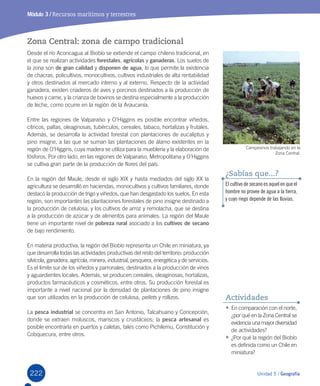 222 Unidad 5 / Geografía
Módulo 3 / Recursos marítimos y terrestres
Zona Central: zona de campo tradicional
Desde	el	río	Aconcagua	al	Biobío	se	extiende	el	campo	chileno	tradicional,	en	
el	que	se	realizan	actividades	forestales,	agrícolas	y	ganaderas.	Los	suelos	de	
la	zona	son	de gran calidad	y	disponen de agua,	lo	que	permite	la	existencia	
de	chacras,	policultivos,	monocultivos,	cultivos	industriales	de	alta	rentabilidad	
y	otros	destinados	al	mercado	interno	y	al	externo.	Respecto	de	la	actividad	
ganadera,	existen	criaderos	de	aves	y	porcinos	destinados	a	la	producción	de	
huevos	y	carne,	y	la	crianza	de	bovinos	se	destina	especialmente	a	la	producción	
de	leche,	como	ocurre	en	la	región	de	la	Araucanía.		
Entre	las	regiones	de	Valparaíso	y	O’Higgins	es	posible	encontrar	viñedos,	
cítricos,	paltas,	oleaginosas,	tubérculos,	cereales,	tabaco,	hortalizas	y	frutales.	
Además,	se	desarrolla	la	actividad	forestal	con	plantaciones	de	eucaliptus	y	
pino	insigne,	a	las	que	se	suman	las	plantaciones	de	álamo	existentes	en	la	
región	de	O’Higgins,	cuya	madera	se	utiliza	para	la	mueblería	y	la	elaboración	de	
fósforos.	Por	otro	lado,	en	las	regiones	de	Valparaíso,	Metropolitana	y	O’Higgins	
se	cultiva	gran	parte	de	la	producción	de	flores	del	país.
En	la	región	del	Maule,	desde	el	siglo	XIX	y	hasta	mediados	del	siglo	XX	la	
agricultura	se	desarrolló	en	haciendas,	monocultivos	y	cultivos	familiares,	donde	
destacó	la	producción	de	trigo	y	viñedos,	que	han	desgastado	los	suelos.	En	esta	
región,	son	importantes	las	plantaciones	forestales	de	pino	insigne	destinado	a	
la	producción	de	celulosa,	y	los	cultivos	de	arroz	y	remolacha,	que	se	destina	
a	la	producción	de	azúcar	y	de	alimentos	para	animales.	La	región	del	Maule	
tiene	un	importante	nivel	de	pobreza rural	asociado	a	los	cultivos de secano	
de	bajo	rendimiento.
En	materia	productiva,	la	región	del	Biobío	representa	un	Chile	en	miniatura,	ya	
que	desarrolla	todas	las	actividades	productivas	del	resto	del	territorio:	producción	
silvícola,	ganadera,	agrícola,	minera,	industrial,	pesquera,	energética	y	de	servicios.	
Es	el	límite	sur	de	los	viñedos	y	parronales,	destinados	a	la	producción	de	vinos	
y	aguardientes	locales.	Además,	se	producen	cereales,	oleaginosas,	hortalizas,	
productos	farmacéuticos	y	cosméticos,	entre	otros.	Su	producción	forestal	es	
importante	a	nivel	nacional	por	la	densidad	de	plantaciones	de	pino	insigne	
que	son	utilizados	en	la	producción	de	celulosa,	pellets	y	rollizos.	
La	pesca industrial	se	concentra	en	San	Antonio,	Talcahuano	y	Concepción,	
donde	se	extraen	moluscos,	mariscos	y	crustáceos;	la	pesca artesanal	es	
posible	encontrarla	en	puertos	y	caletas,	tales	como	Pichilemu,	Constitución	y	
Cobquecura,	entre	otros.	
•	En	comparación	con	el	norte,	
¿por	qué	en	la	Zona	Central	se	
evidencia	una	mayor	diversidad	
de	actividades?	
•	¿Por	qué	la	región	del	Biobío	
es	definida	como	un	Chile	en	
miniatura?
Actividades
El cultivo de secano es aquel en que el
hombre no provee de agua a la tierra,
y cuyo riego depende de las lluvias.
¿Sabías que...?
	Campesinos	trabajando	en	la	
Zona	Central.
U5.indd 222 15-06-12 19:38
 