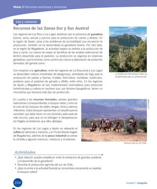 224
Módulo 3 / Recursos marítimos y terrestres
Recursos de las Zonas Sur y Sur Austral
Las	regiones	de	Los	Ríos	y	Los	Lagos	destacan	por	la	presencia	de	ganadería	
bovina,	ovina,	avícola	y	porcina	para	la	producción	de	carnes	y	lácteos.	En	
la	región	de	Aysén,	pese	a	los	problemas	de	accesibilidad	que	encarecen	la	
producción,	también	se	ha	desarrollado	la	ganadería	bovina.	Por	otro	lado,	
en	la	región	de	Magallanes,	la	actividad	ovejera	se	destina	a	la	producción	de	
lana	y	carne.	La	crianza	de	ovejas	se	beneficia	de	las	amplias	extensiones	de	
terreno	disponible	para	el	pastoreo.	La	producción	se	organiza	en	estancias	
ganaderas,	que	funcionan	como	centros	de	crianza	y	elaboración	de	productos	
derivados	del	ganado	ovino.	
Con	respecto	a	la	agricultura,	entre	las	regiones	de	La	Araucanía	y	Los	Lagos	
se	desarrollan	cultivos	industriales	de	oleaginosas,	variedades	de	trigo	para	la	
producción	de	pastas	y	harinas,	frutales,	floricultura,	hortalizas,	tubérculos,	
praderas	para	el	pastoreo	de	ganado	y	alfalfa,	entre	otros.	En	las	regiones	
de	Aysén	y	Magallanes	se	han	implementado	invernaderos	para	productos	
hortofrutícolas	y	cultivos	en	sectores	que,	por	factores	topográficos,	tienen	un	
microclima	que	favorece	este	tipo	de	producción.		
En	cuanto	a	los	recursos forestales,	existen	grandes	
extensiones	correspondientes	a	bosque	nativo,	como	es	
el	caso	de	los	bosques	de	robles,	lengas,	ñirres	y	alerces	
milenarios.	Estos	bosques	representan	un	desafío	para	la	
sociedad,	que	debe	hacer	un	uso	racional	y	adecuado	de	
este	recurso,	para	que	no	se	extingan	ni	desaparezcan	
los	frágiles	ecosistemas	que	ellos	albergan.	
En	las	regiones	de	Los	Lagos	y	Aysén	es	relevante	el	
cultivo	de	salmones	y	mariscos,	y	en	Punta	Arenas	(región	
de	Magallanes),	además	de	la	pesca industrial	se	extrae	
la	centolla	y	algunos	mariscos,	moluscos	y	crustáceos.
Lee y comenta
•	¿Qué	relación	puedes	establecer	entre	la	existencia	de	grandes	praderas	
y	el	desarrollo	de	la	ganadería?
•	Describe	la	producción	agrícola	del	sur	de	Chile.	
•	¿Qué	ocurriría	si	la	actividad	forestal	se	concentrara	únicamente	en	explotar	
el	bosque	nativo?
Actividades
Arrieros	del	sur	de	Chile.
La	protección	del	bosque	nativo	es	
fundamental	para	su	preservación.
	Luis	Padilla
Unidad 5 / Geografía
U5.indd 224 15-06-12 19:38
 