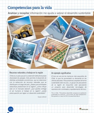 Competencias para la vida
228
TER
RA
AUSTR
ALIS
Analizar y recopilar	información	me	ayuda	a	valorar	el	desarrollo	sustentable
Recursos naturales y trabajo en tu región
Chile es un país que por su extensión latitudinal posee
diversidad de paisajes. Esto permite el desarrollo de
distintas actividades económicas, que se relacionan
con la extracción de recursos naturales que se
distribuyen a lo largo del país. ¿Sabes qué actividades
extractivas predominan en tu región?, ¿cómo influye
esto en el mercado laboral?, ¿qué aportes entrega
el ser humano al trabajo en tu región?, ¿existe
preocupación por lograr un desarrollo sustentable?
Equipo	editorial	
Un ejemplo significativo
El loco es uno de los mariscos más exquisitos de
Chile, lo que ha aumentado su demanda en las
últimasdécadas.Parapreservaryexplotardeforma
sustentable este recurso, un grupo de pescadores
de la región de Coquimbo está ejecutando
un proyecto para desarrollar tecnologías de
reproducción controlada y repoblamiento del loco.
This	is	Chile.	“Pescadores	desarrollan	proyecto	de	explotación	
sustentable	de	mariscos”,	16	de	enero	de	2010	(Adaptación).	
Recuperado	en	mayo	de	2012	de	www.thisischile.cl
U5.indd 228 15-06-12 19:39
 