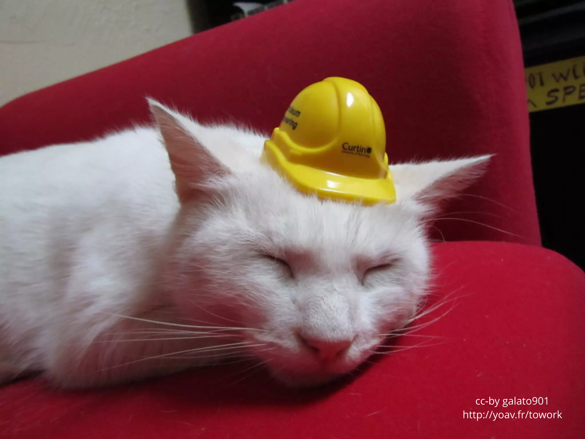 Let’s get to work
cc-by galato901
http://yoav.fr/towork
 