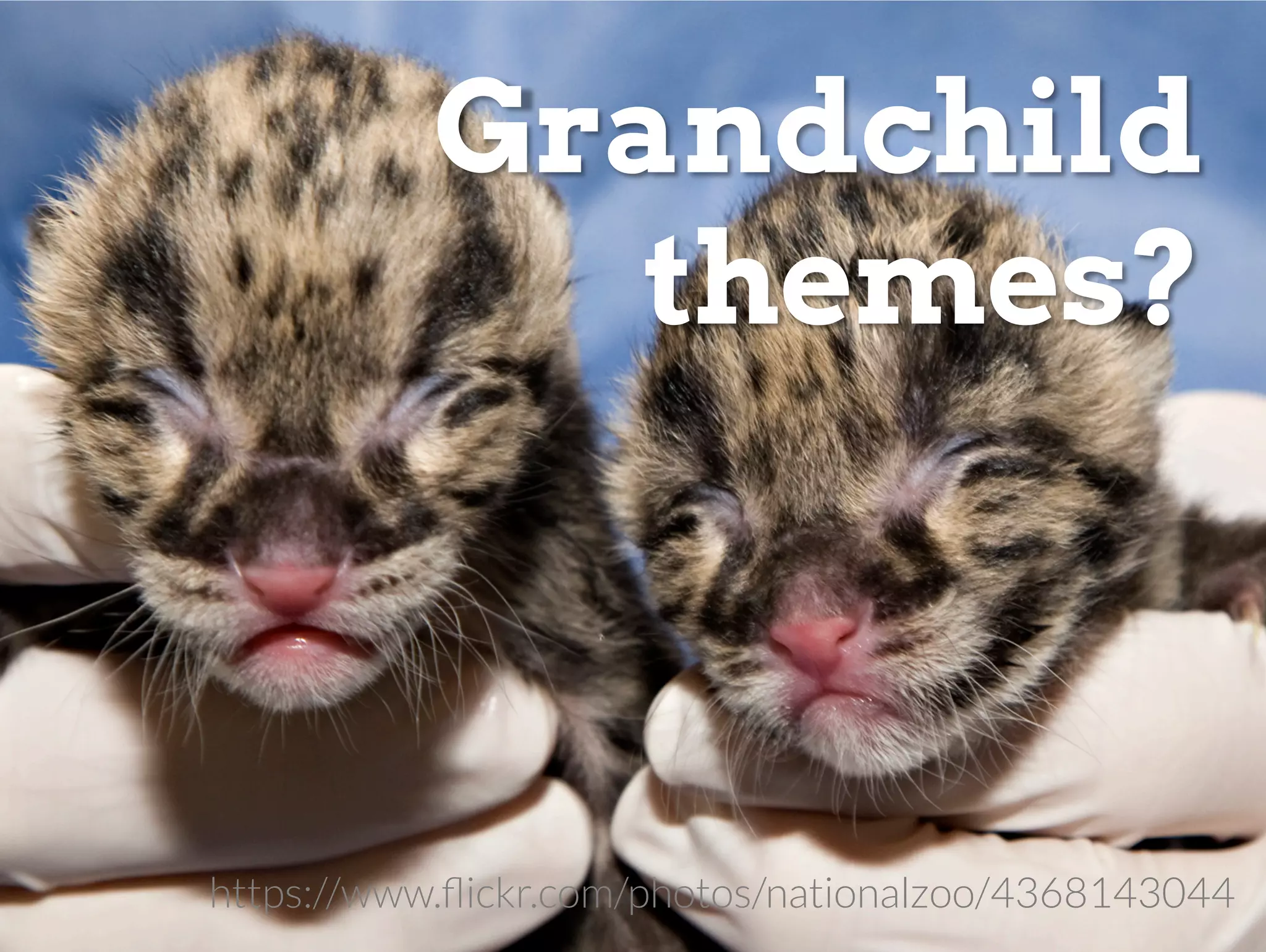 Grandchild
themes?
https://www.ﬂickr.com/photos/nationalzoo/4368143044
 