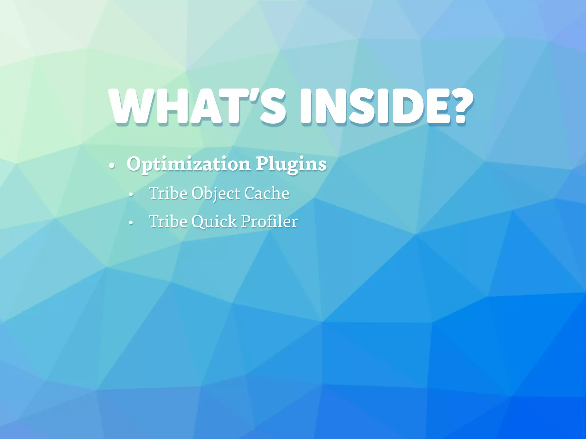 WHAT’S INSIDE?
• Optimization Plugins
• Tribe Object Cache
• Tribe Quick Profiler
 