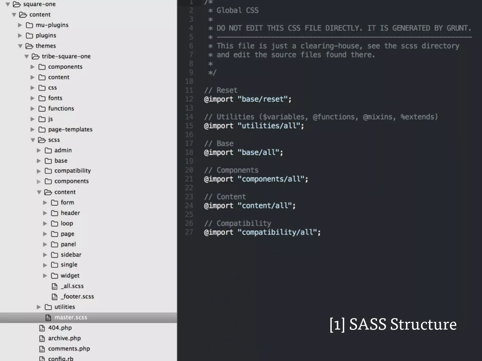 [1] SASS Structure
 