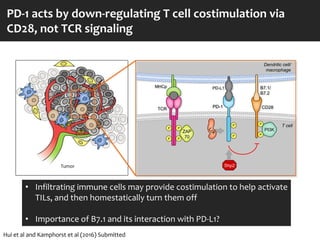 The immunotherapy of cancer: past, present & the next frontier | PDF
