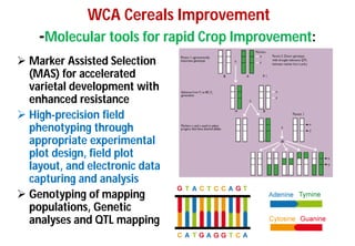 Asia Regional Program- Planning Meeting"Strengthening WCA-region collaboration : Needs and Opportunities".