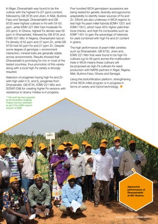  ICRISAT Research Program West and Central Africa 2016 Highlights- Nutritious Pearl Millet (Pennisetum glaucum) Varieties Enable West-Central Africa to Combat Fe-induced Anemia