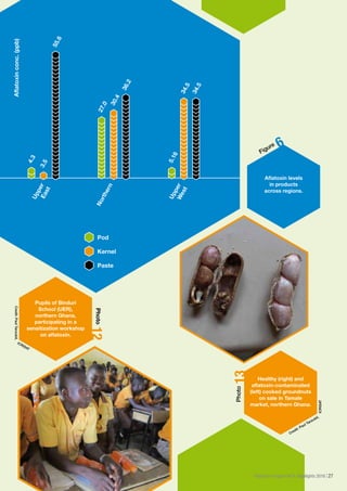 ICRISAT Research Program West and Central Africa 2016 Highlights- Aflatoxin contamination of groundnut (Arachis hypogaea) products in northern Ghana