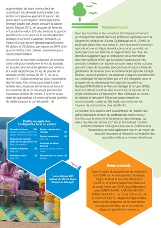 ICRISAT Research Program West and Central Africa 2016 Highlights-Climate-smart village approach boosts Senegalese livelihoods (French)