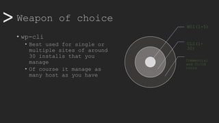 >> Weapon of choice
WUI(1-5)
CLI(1-
30)
Commercial
and Ci/Cd
tools
• wp-cli
• Best used for single or
multiple sites of around
30 installs that you
manage
• Of course it manage as
many host as you have
 