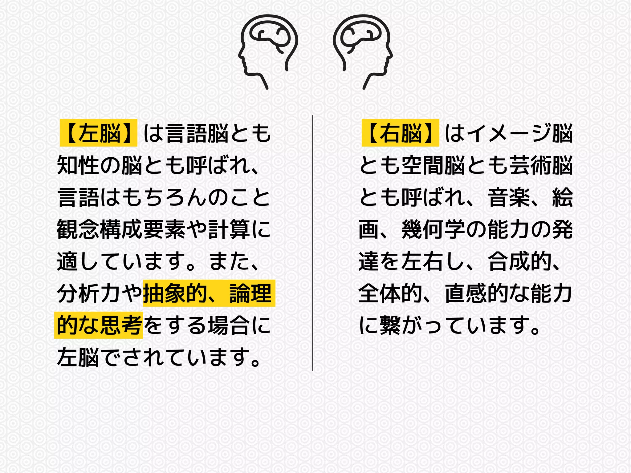 【左脳】は言語脳とも 
知性の脳とも呼ばれ、 
言語はもちろんのこと 
観念構成要素や計算に 
適しています。また、 
分析力や抽象的、論理 
的な思考をする場合に 
左脳でされています。 
【右脳】はイメージ脳 
とも空間脳とも芸術脳 
とも呼ばれ、音楽、絵 
画、幾何学の能力の発 
達を左右し、合成的、 
全体的、直感的な能力 
に繋がっています。 
 