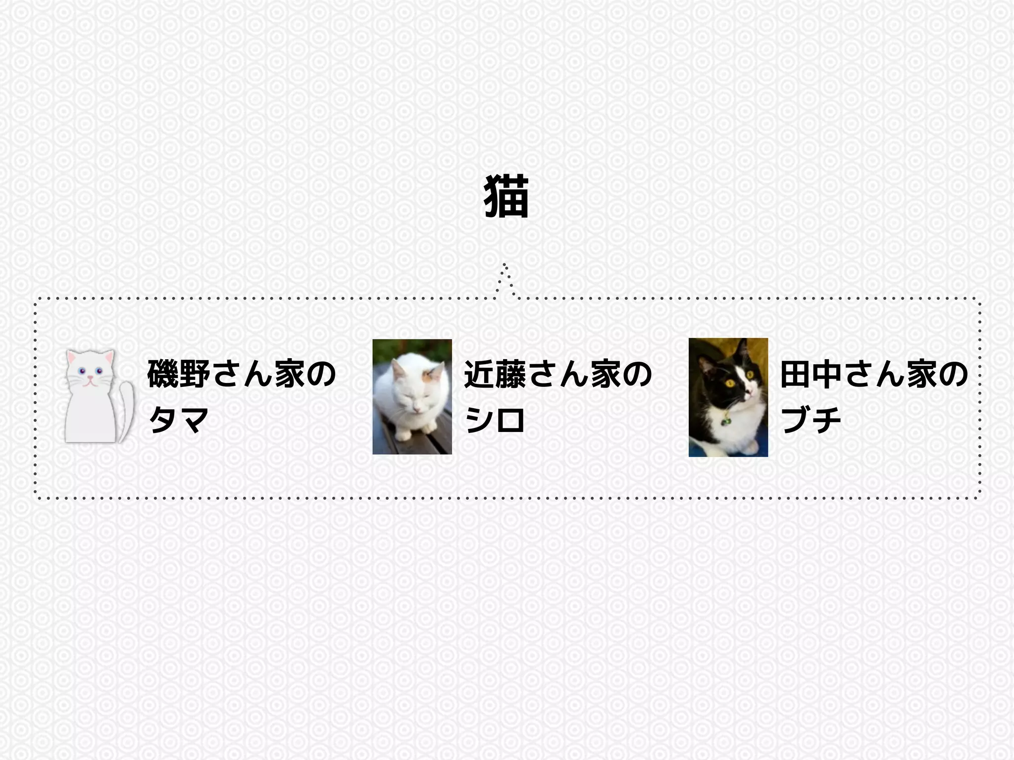 猫 
磯野さん家の 
タマ 
近藤さん家の 
シロ 
田中さん家の 
ブチ 
 