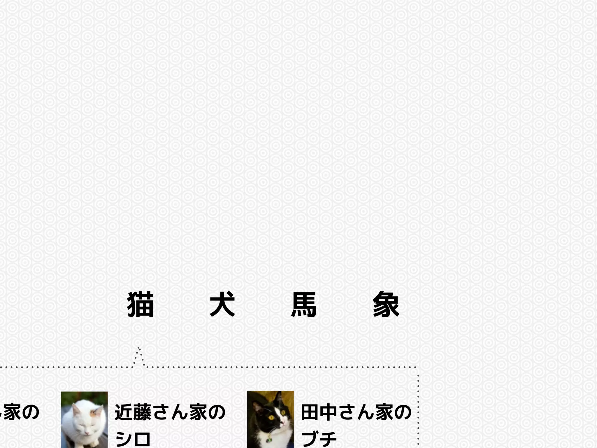 猫犬馬象 
ん家の 
近藤さん家の 
シロ 
田中さん家の 
ブチ 
 