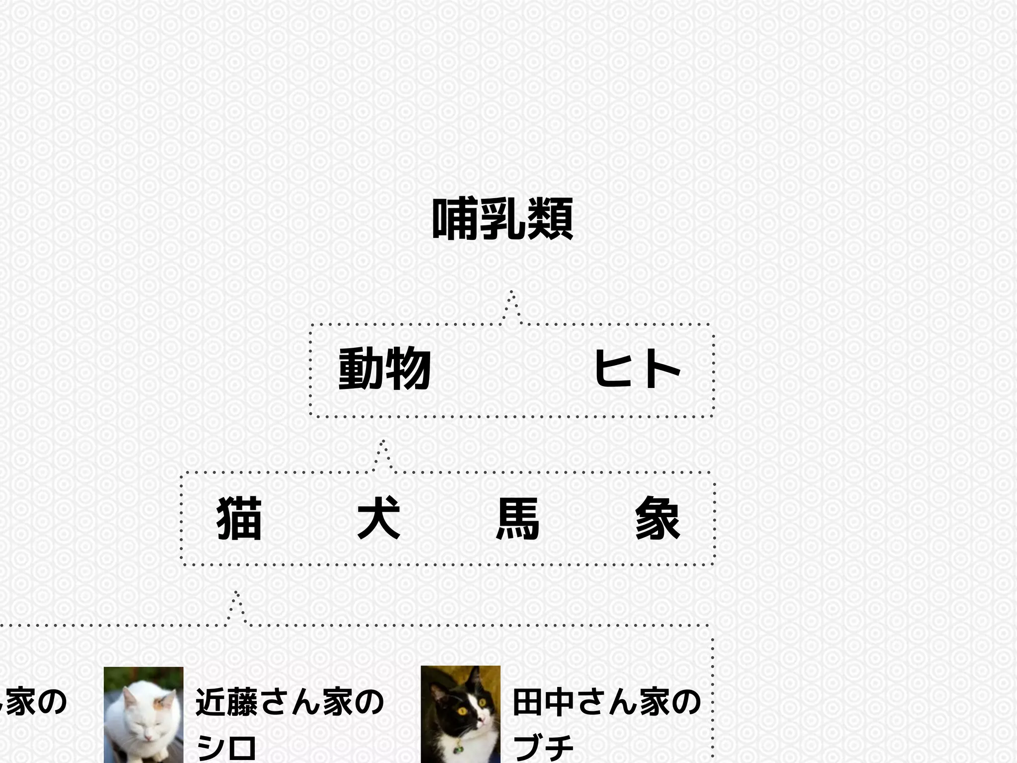 猫 
哺乳類 
動物 
ヒト 
犬馬象 
ん家の 
近藤さん家の 
シロ 
田中さん家の 
ブチ 
 