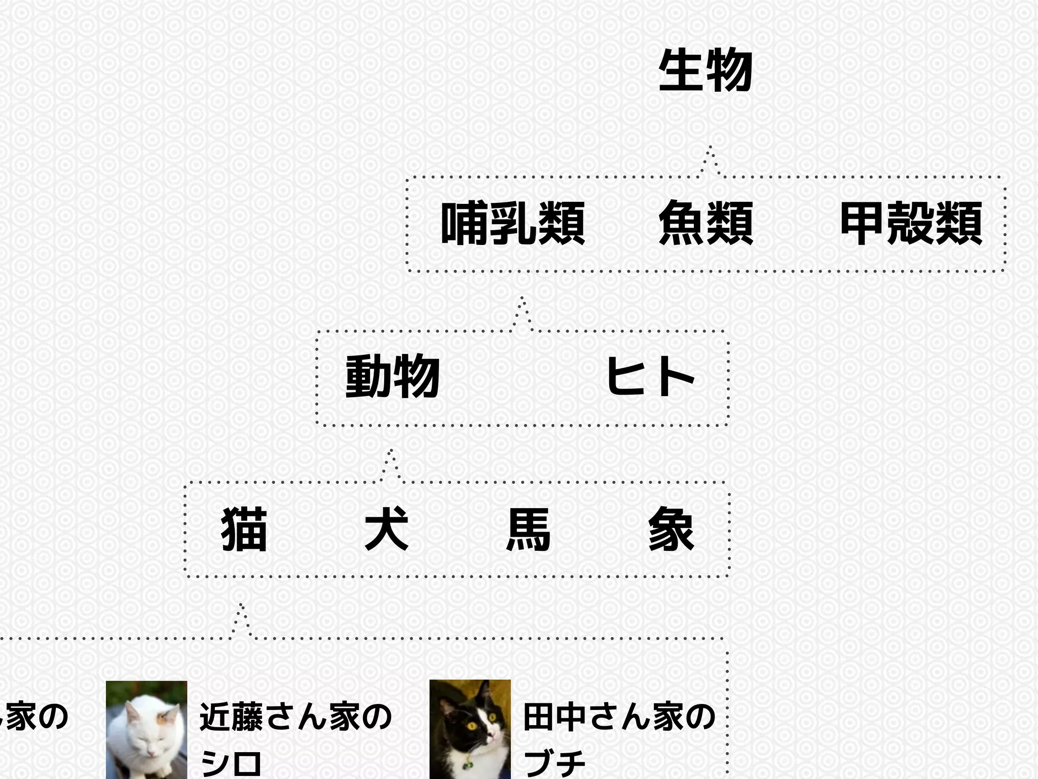 猫 
哺乳類 
動物 
生物 
魚類甲殻類 
ヒト 
犬馬象 
ん家の 
近藤さん家の 
シロ 
田中さん家の 
ブチ 
 