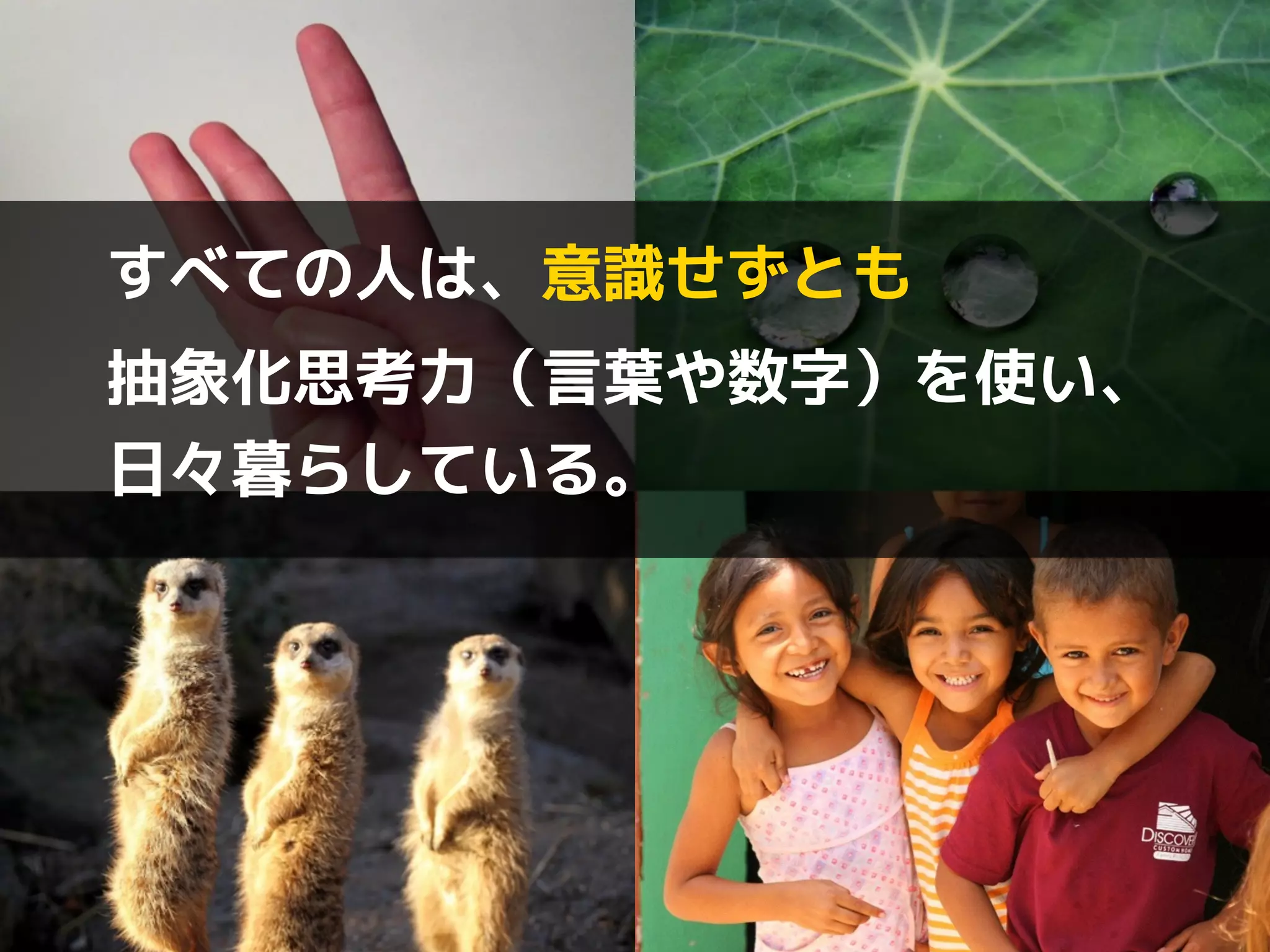 すべての人は、意識せずとも 
抽象化思考力（言葉や数字）を使い、 
日々暮らしている。 
 