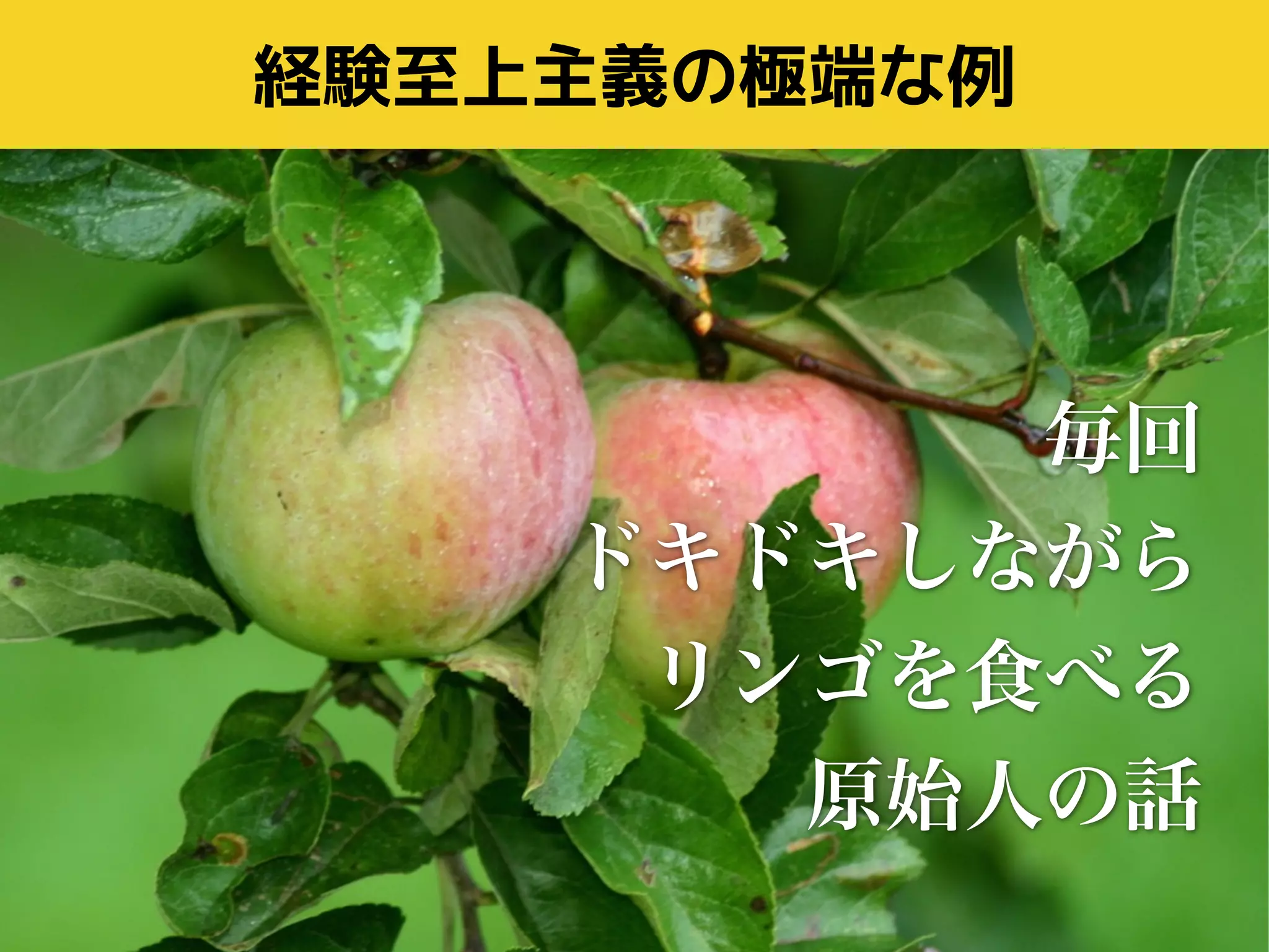 経験至上主義の極端な例 
毎回 
ドキドキしながら 
リンゴを食べる 
原始人の話 
 