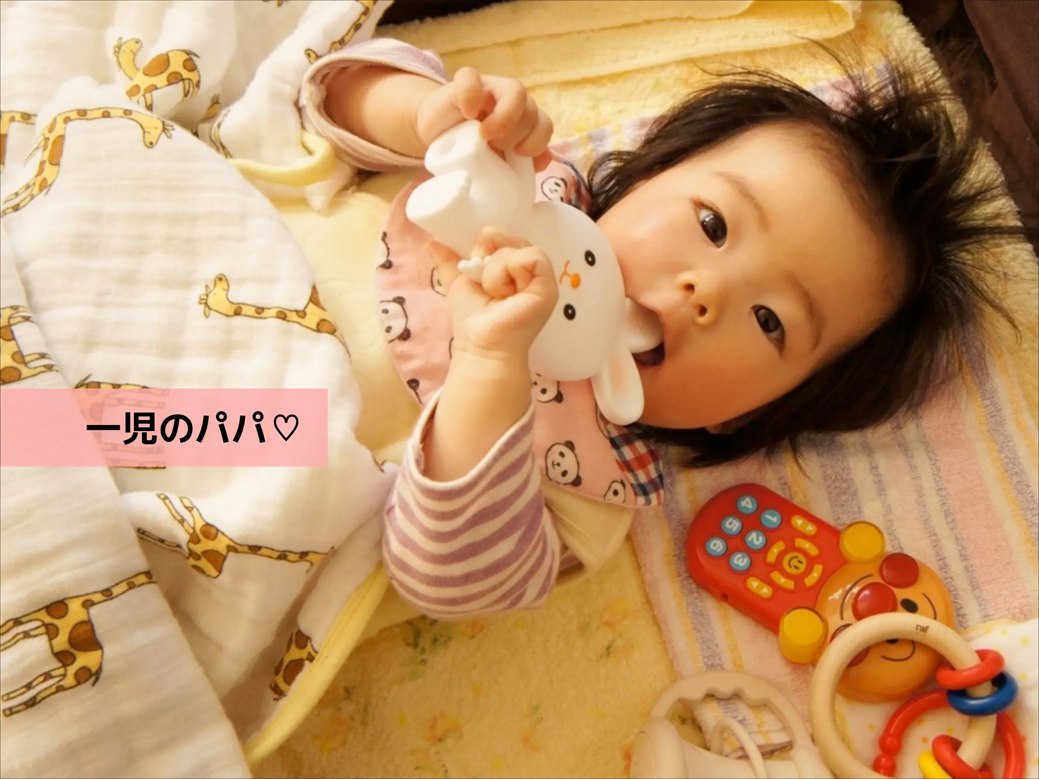 !
!
!

一児のパパ♡

 