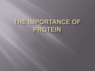 The Importance of Protein 