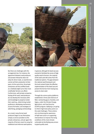Seed certification and marketing policies in Mali: Do farmers actually benefit?