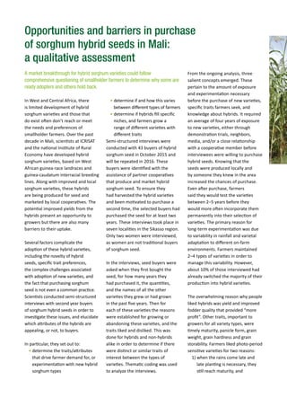 Opportunities and barriers in purchase
of sorghum hybrid seeds in Mali:
a qualitative assessment
In West and Central Africa, there
is limited development of hybrid
sorghum varieties and those that
do exist often don’t reach or meet
the needs and preferences of
smallholder farmers. Over the past
decade in Mali, scientists at ICRISAT
and the national Institute of Rural
Economy have developed hybrid
sorghum varieties, based on West
African guinea-race landraces and
guinea-caudatum interracial breeding
lines. Along with improved and local
sorghum varieties, these hybrids
are being produced for seed and
marketed by local cooperatives. The
potential improved yields from the
hybrids present an opportunity to
growers but there are also many
barriers to their uptake.
Several factors complicate the
adoption of these hybrid varieties,
including the novelty of hybrid
seeds, specific trait preferences,
the complex challenges associated
with adoption of new varieties, and
the fact that purchasing sorghum
seed is not even a common practice.
Scientists conducted semi-structured
interviews with second year buyers
of sorghum hybrid seeds in order to
investigate these issues, and elucidate
which attributes of the hybrids are
appealing, or not, to buyers.
In particular, they set out to:
• determine the traits/attributes
that drive farmer demand for, or
experimentation with new hybrid
sorghum types
A market breakthrough for hybrid sorghum varieties could follow
comprehensive questioning of smallholder farmers to determine why some are
ready adopters and others hold back.
• determine if and how this varies
between different types of farmers
• determine if hybrids fill specific
niches, and farmers grow a
range of different varieties with
different traits
Semi-structured interviews were
conducted with 43 buyers of hybrid
sorghum seed in October 2015 and
will be repeated in 2016. These
buyers were identified with the
assistance of partner cooperatives
that produce and market hybrid
sorghum seed. To ensure they
had harvested the hybrid varieties
and been motivated to purchase a
second time, the selected buyers had
purchased the seed for at least two
years. These interviews took place in
seven localities in the Sikasso region.
Only two women were interviewed,
as women are not traditional buyers
of sorghum seed.
In the interviews, seed buyers were
asked when they first bought the
seed, for how many years they
had purchased it, the quantities,
and the names of all the other
varieties they grew or had grown
in the past five years. Then for
each of these varieties the reasons
were established for growing or
abandoning these varieties, and the
traits liked and disliked. This was
done for hybrids and non-hybrids
alike in order to determine if there
were distinct or similar traits of
interest between the types of
varieties. Thematic coding was used
to analyze the interviews.
From the ongoing analysis, three
salient concepts emerged. These
pertain to the amount of exposure
and experimentation necessary
before the purchase of new varieties,
specific traits farmers seek, and
knowledge about hybrids. It required
an average of four years of exposure
to new varieties, either through
demonstration trials, neighbors,
media, and/or a close relationship
with a cooperative member before
interviewees were willing to purchase
hybrid seeds. Knowing that the
seeds were produced locally and
by someone they knew in the area
increased the chances of purchase.
Even after purchase, farmers
said they would test the varieties
between 2–5 years before they
would more often incorporate them
permanently into their selection of
varieties. The primary reason for
long-term experimentation was due
to variability in rainfall and varietal
adaptation to different on-farm
environments. Farmers maintained
2–4 types of varieties in order to
manage this variability. However,
about 10% of those interviewed had
already switched the majority of their
production into hybrid varieties.
The overwhelming reason why people
liked hybrids was yield and improved
fodder quality that provided “more
profit”. Other traits, important to
growers for all variety types, were
timely maturity, panicle form, grain
weight, grain hardness and grain
storability. Farmers liked photo-period
sensitive varieties for two reasons:
1) when the rains come late and
late planting is necessary, they
still reach maturity, and
 