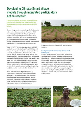 A range of achievements have already been successful,
including:
Development and dissemination of climate-smart
technologies
In all the countries, several promising CSA technologies
and practices including soil and water conservation (SWC)
techniques such as zai (planting holes), bunding, tie ridging
and no-tillage; agroforestry practices, farmer-managed
natural regeneration, shorter cycle varieties of crops,
drought-tolerant crop varieties; have been tested and
validated in the CSVs. As CSA options are context specific,
some could be scaled up to the same agro-ecological
zone in each country. In addition, the CSV model could be
adapted at a medium scale, such as commune or district
in the countries.
Developing Climate-Smart village
models through integrated participatory
action research
Climate-smart villages are evolving in five West African
countries from Senegal to Niger thanks to integrated
participatory action research aimed at protecting food
security.
Climate change creates new challenges for food security
in the region. To overcome these threats, the CGIAR
research program on Climate Change, Agriculture
and Food Security (CCAFS) developed among other
tools and approaches, the Climate Smart Village (CSV)
as a model for local action research to achieve food
security, enhance livelihood, and improve environmental
management, i.e., Climate-Smart Agriculture (CSA).
Led by the CCAFS-WA regional program based at ICRISAT
and implemented in Burkina Faso, Ghana, Mali, Niger and
Senegal, the project’s main objective is to develop Climate-
Smart village models in West Africa in order to boost
farmers’ ability to adapt to climate change, manage risks
and build resilience. Specific objectives are: (i) to coordinate
integration of flagship projects (FPs) and other research work
at CSV sites; (ii) to provide evidence of climate-smartness
of promising CSA options emerging from the CSVs; (iii) to
simulate how the current CSV models translate into upper
levels in a bid to guide climate change adaptation planning;
and (iv) to prioritize investment in CSA at national level.
Based on the CSV model (Figure 8) designed by
communities at site level, CCAFS in partnership with
NARES, NGOs, local authorities etc. have tested and
validated several agricultural interventions with the
intention of integrating climate-smart agriculture into
village development plans, using local knowledge and
expertise and supported by local institutions.
 