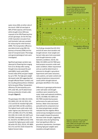 Groundnut shows new traits of tolerance to drought stress conditions under lysimeter system in Niger
