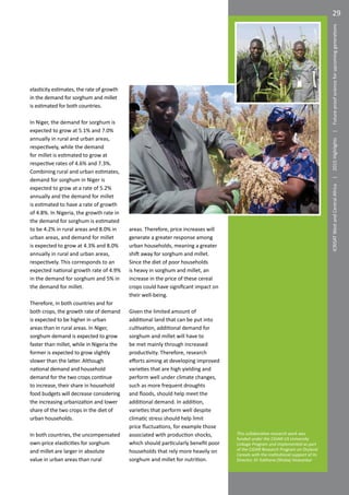 Stable future for millet and sorghum as improved varieties penetrate Niger and Nigeria