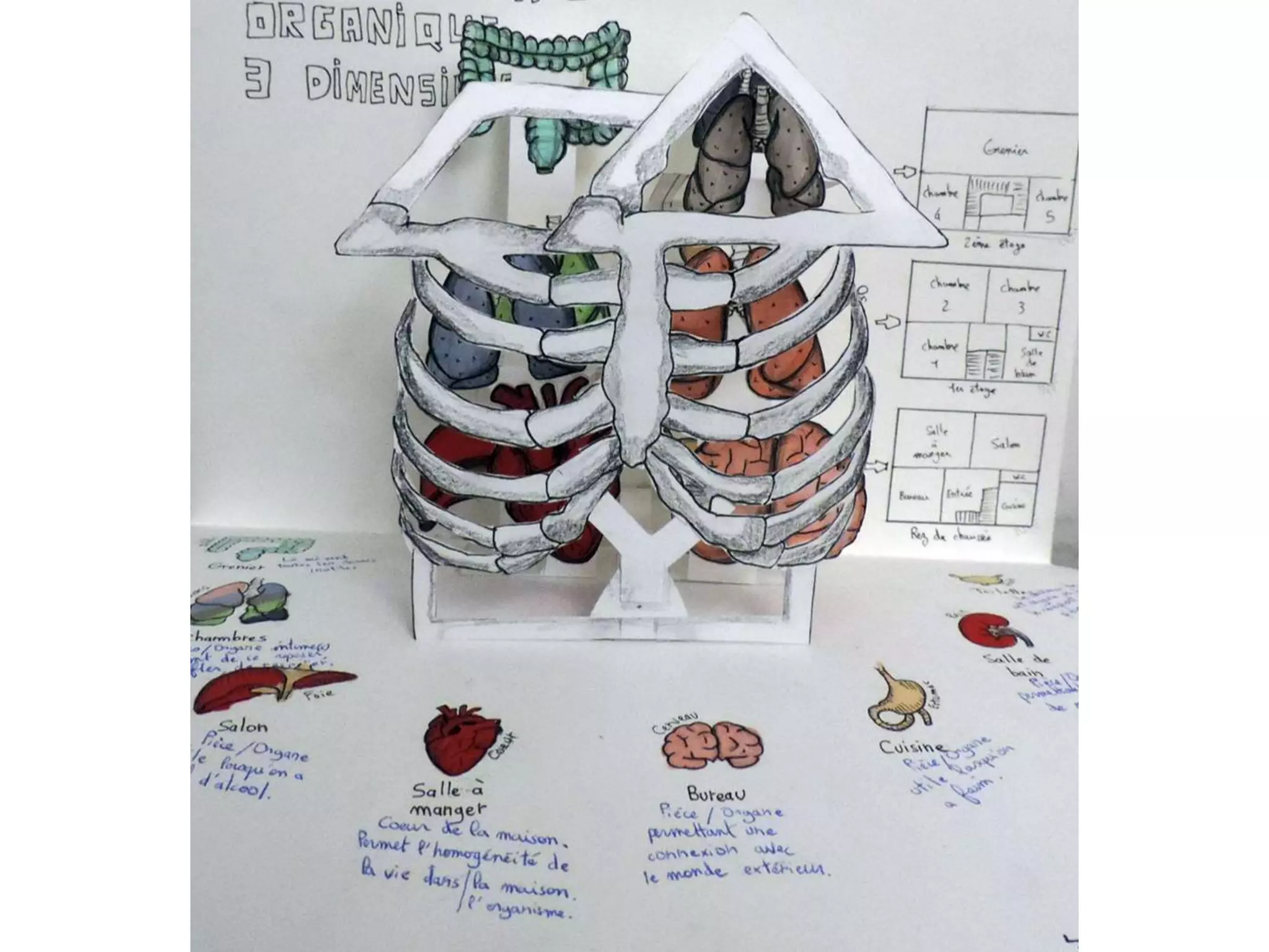 cartographie de mon habitation