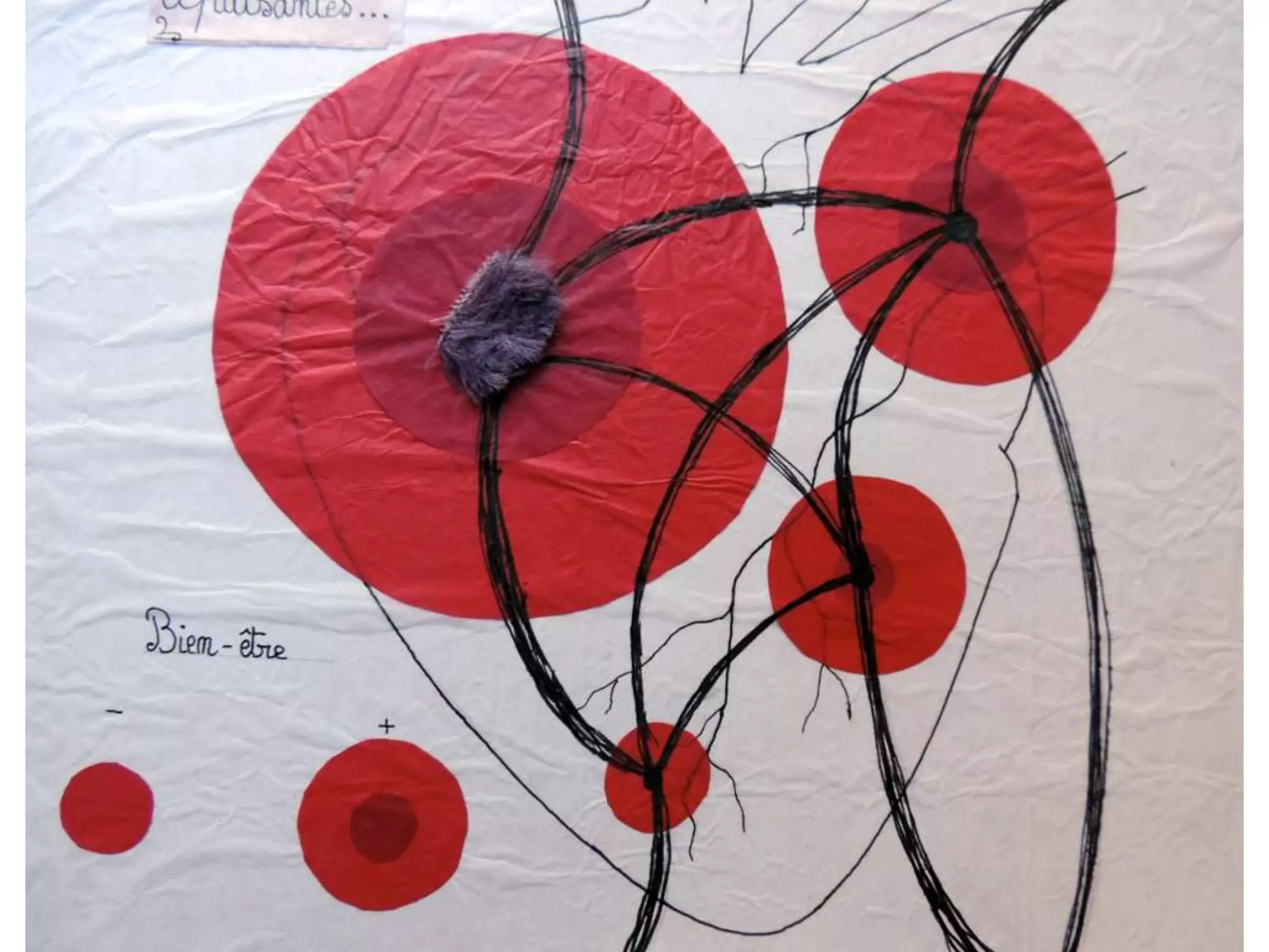 cartographie de mon habitation