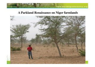 Transformational Opportunities to Perennialize Global Farming Creating an EverGreen Agriculture]