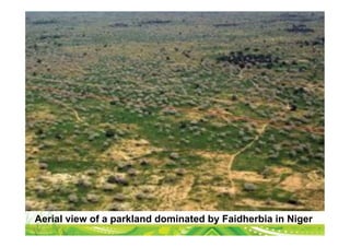 Transformational Opportunities to Perennialize Global Farming Creating an EverGreen Agriculture]