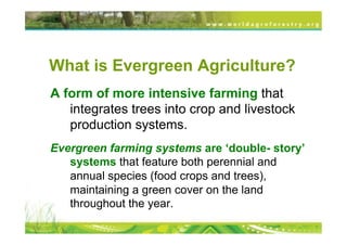 Transformational Opportunities to Perennialize Global Farming Creating an EverGreen Agriculture]