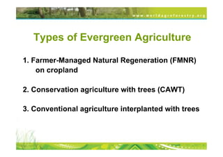 Transformational Opportunities to Perennialize Global Farming Creating an EverGreen Agriculture]